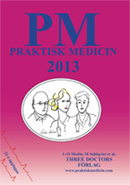 pm2013