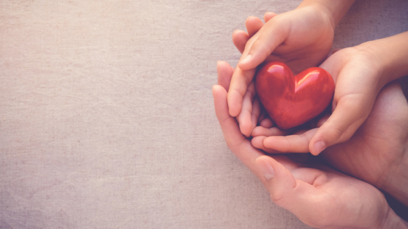 Högsta antalet organdonatorer någonsin – men fler behövs
