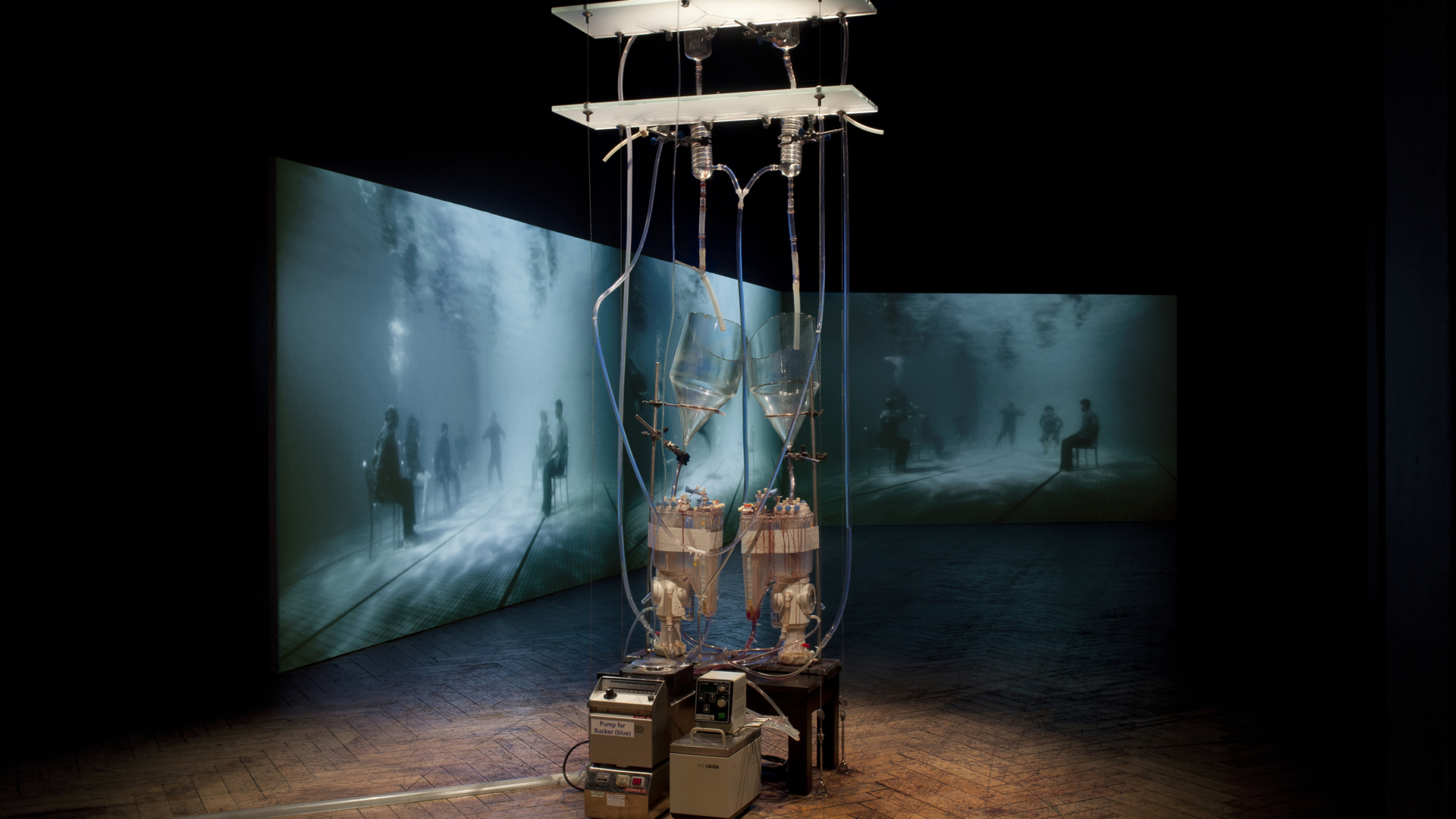 Medicin, teknik och naturvetenskap ska nå ut med hjälp av konst