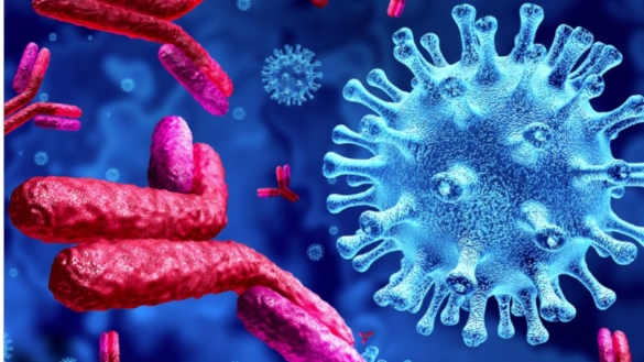 Stort framtida behov av immunglobuliner