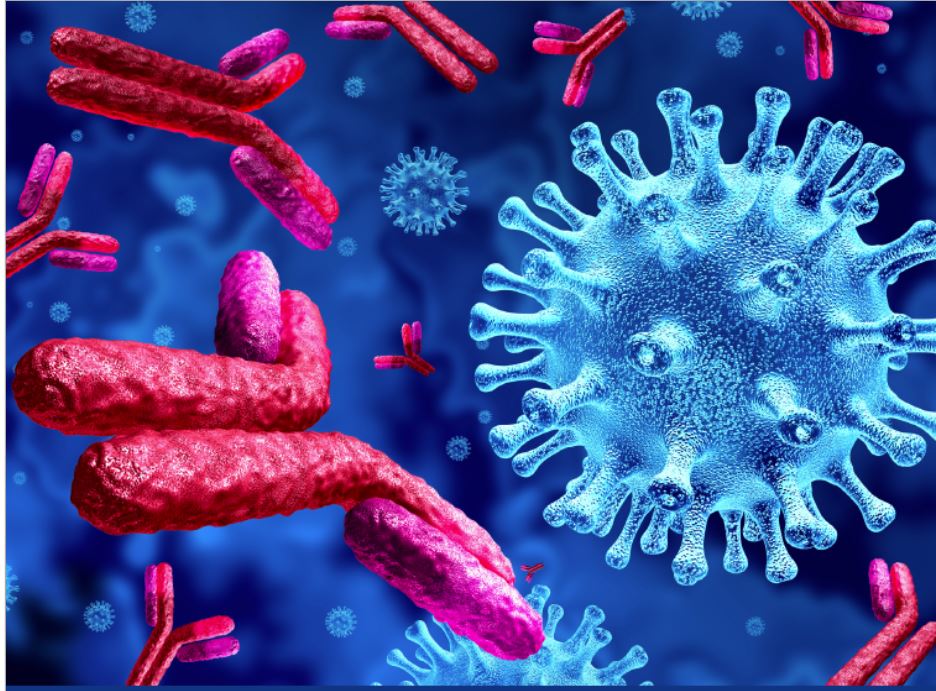 Stort framtida behov av immunglobuliner