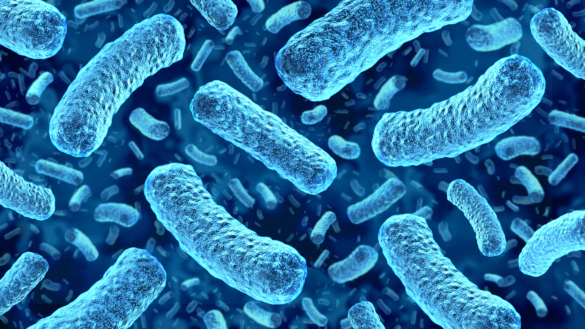 Listeriautbrott på restaurang